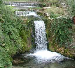 freshwater